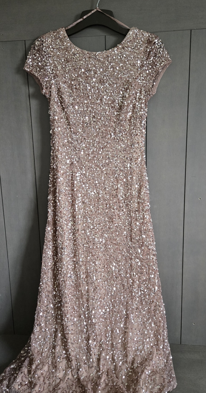 Adrianna Papell Rose Gold Sequin Scoop Back Gown Size 10P